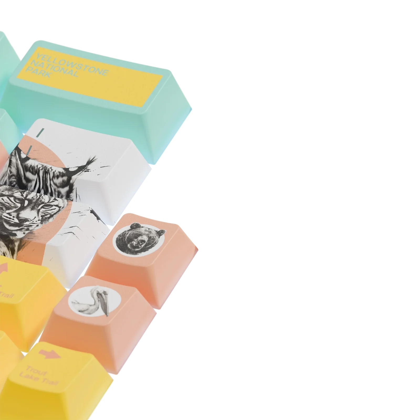 Keycaps Limited Edition Yellowstone US 4