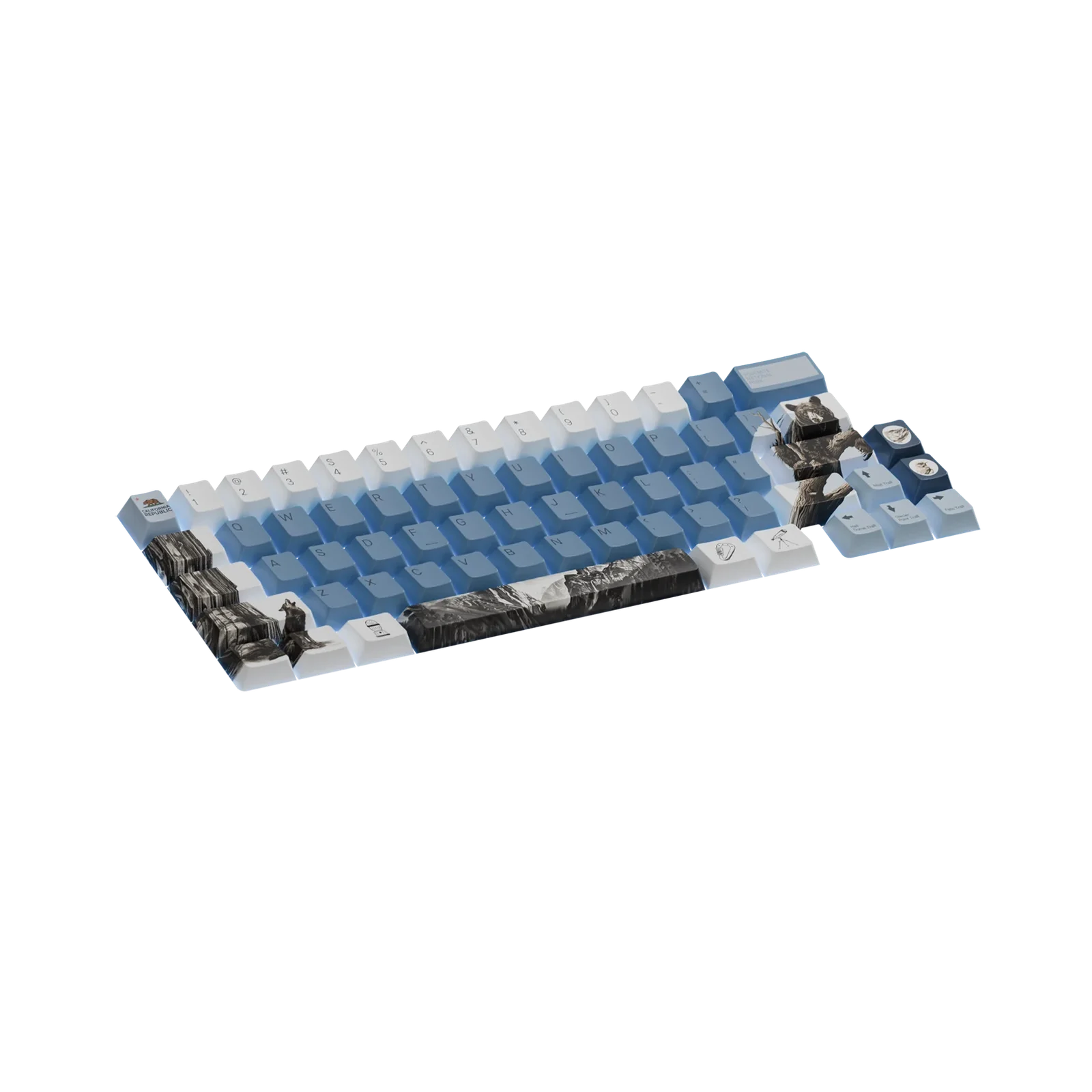 Keycaps & Switches
